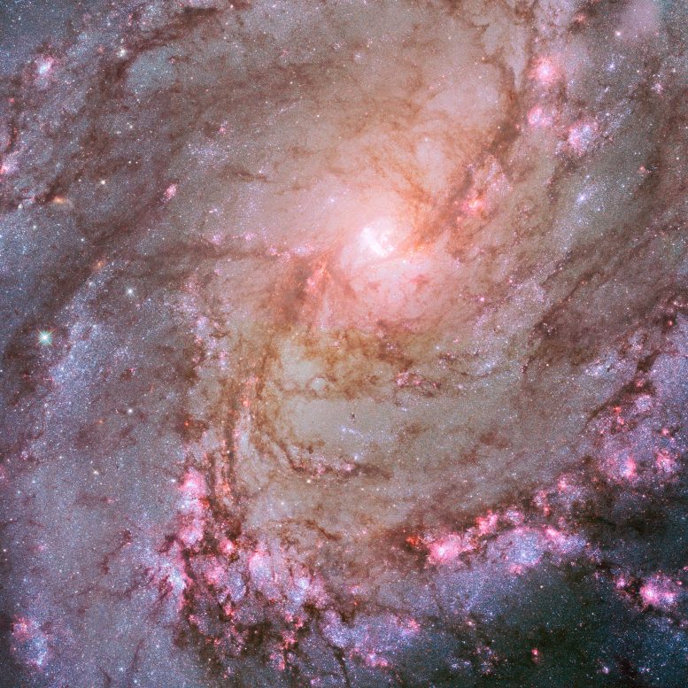 Hubble M83 Space Telescope