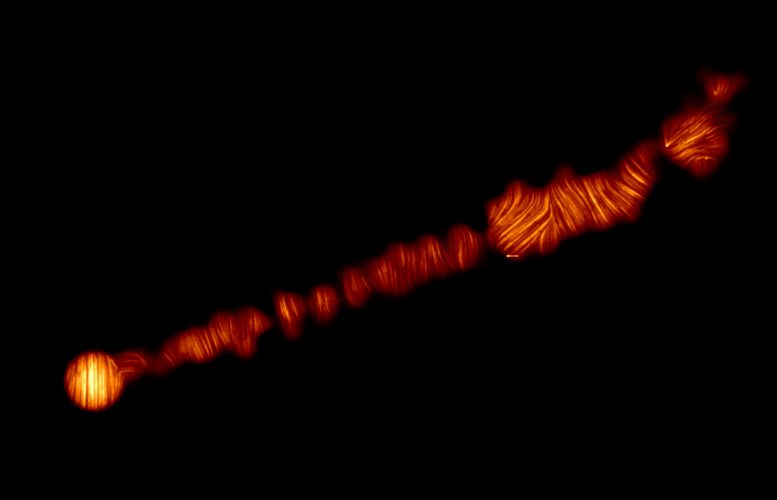 M87 Jet in Polarized Light
