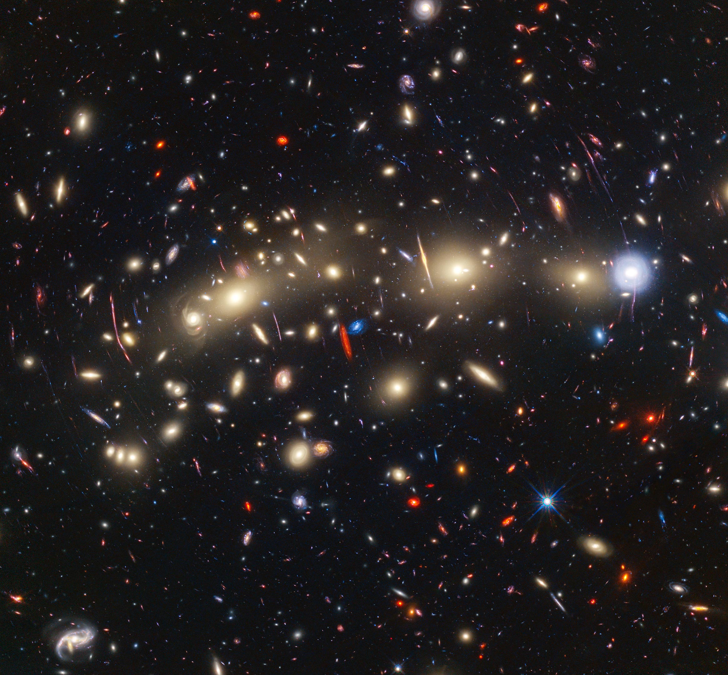 14 Transient Objects Discovered in Distant Galaxy Cluster