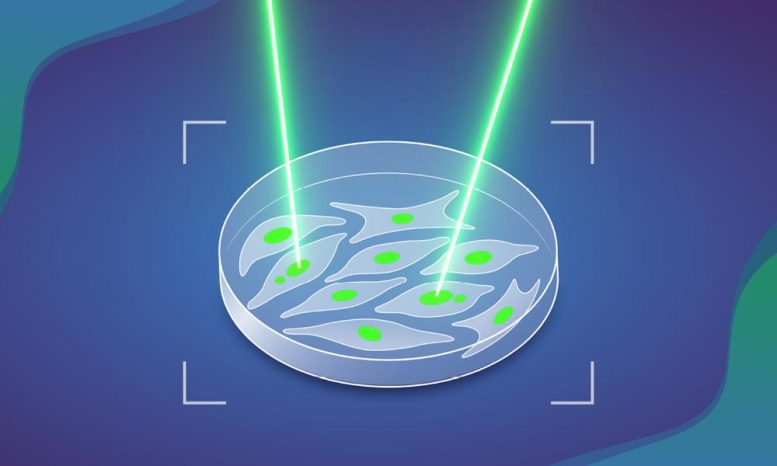 MAGIC AI Laser System