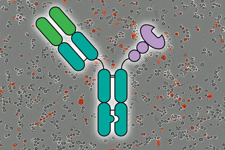 MIT Antibody Lectin