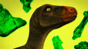 MIT Dinosaur Evolution