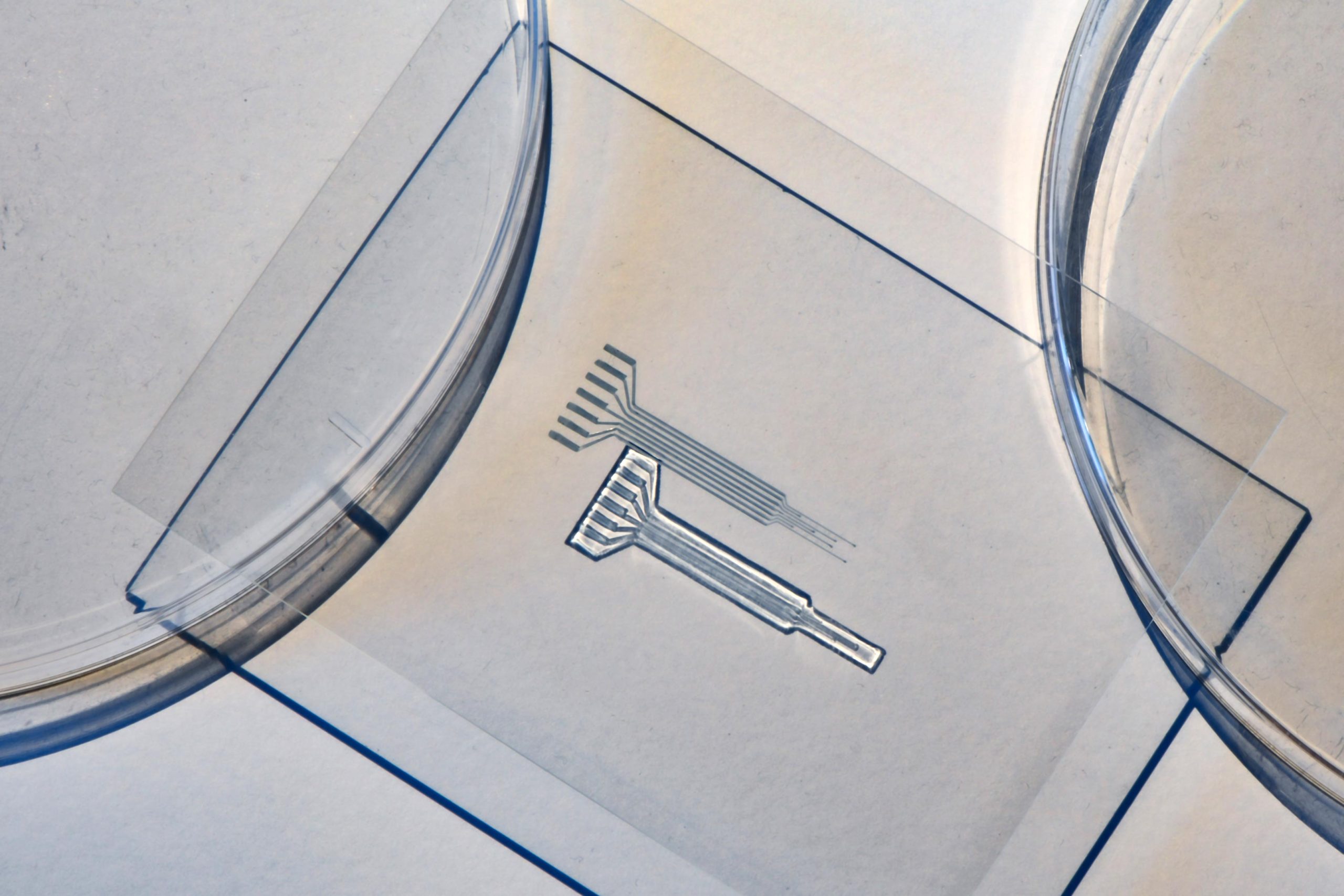 MIT’s Soft, Printable, Metal-Free Electrodes for Next-Gen Implants