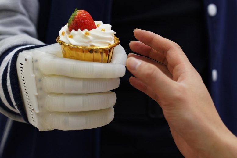 MIT Inflatable Robotic Hand