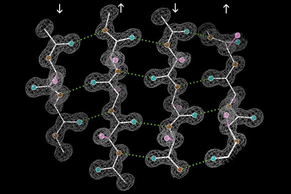 MIT Researchers Reveal New Clues to How Proteins Fold