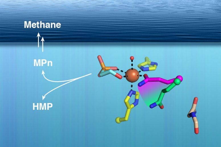 MIT Researchers Solve Methane Mystery