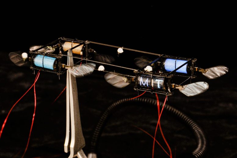 MIT Robotic Lightning Bug