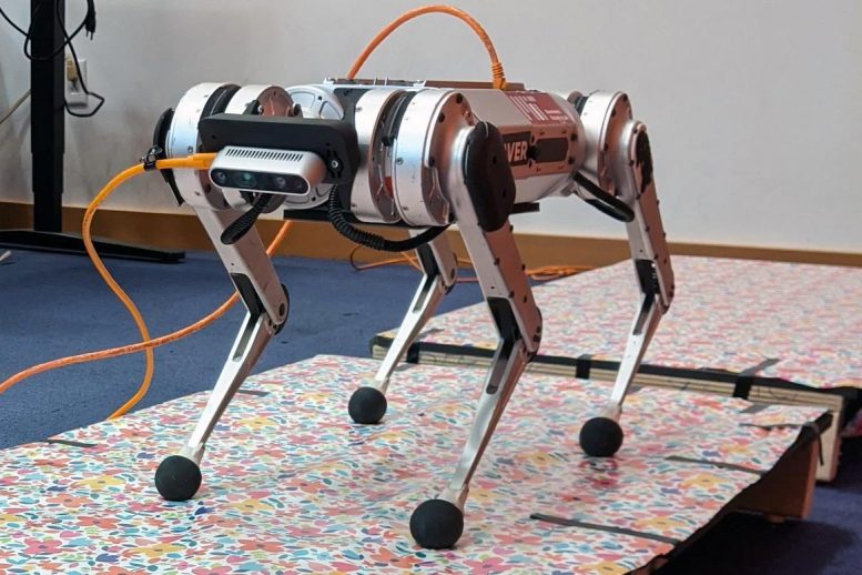 MIT Robotic Mini Cheetah