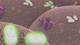 MIT Scientists Develop Basic Computing Elements for Bacteria