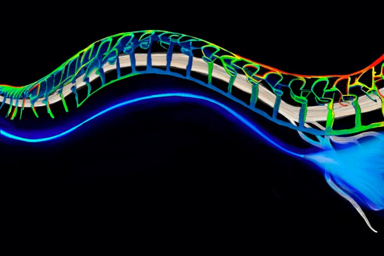 MIT Soft Hydrogel Optical Fiber Stimulates Peripheral Nerves