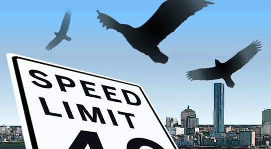 MIT researchers find critical speed for birds and drones
