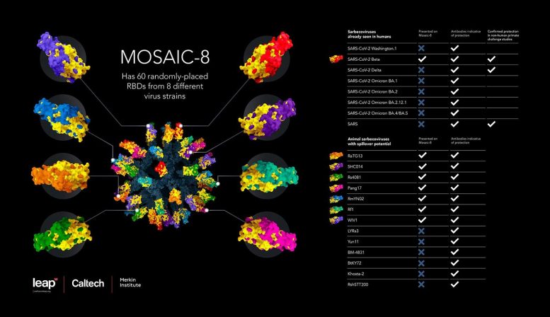 MOSAIC 8 Vaccine Infographic