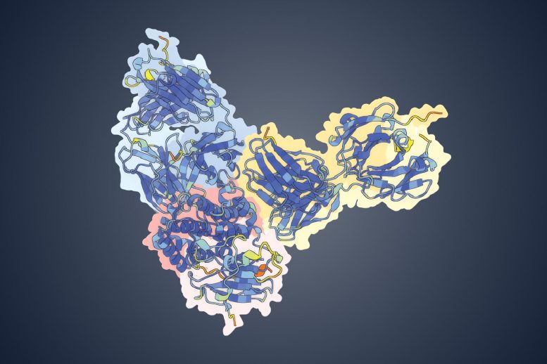 MPXV OPG153 Structure