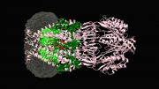 MSCS Channel Protein Embedded in Nanodisc