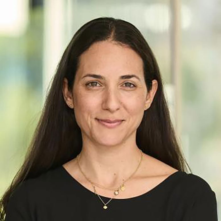Maayan Levy