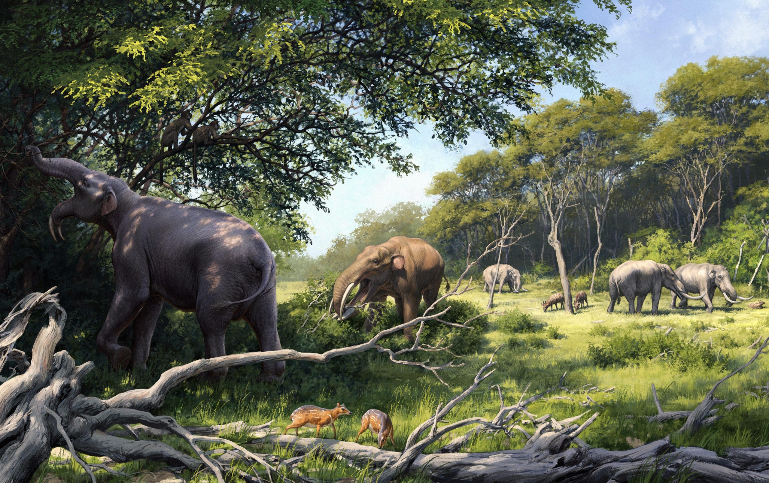 The Ancient Dietary Secrets of Elephants: A Tale of Evolution and