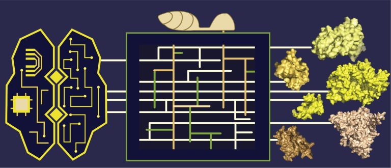 Pathogen Evolution: New Structure Prediction Model Mapped 500 ...