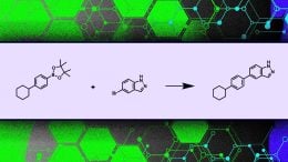 Machine Learning Model That Proposes New Molecules for the Drug Discovery Process