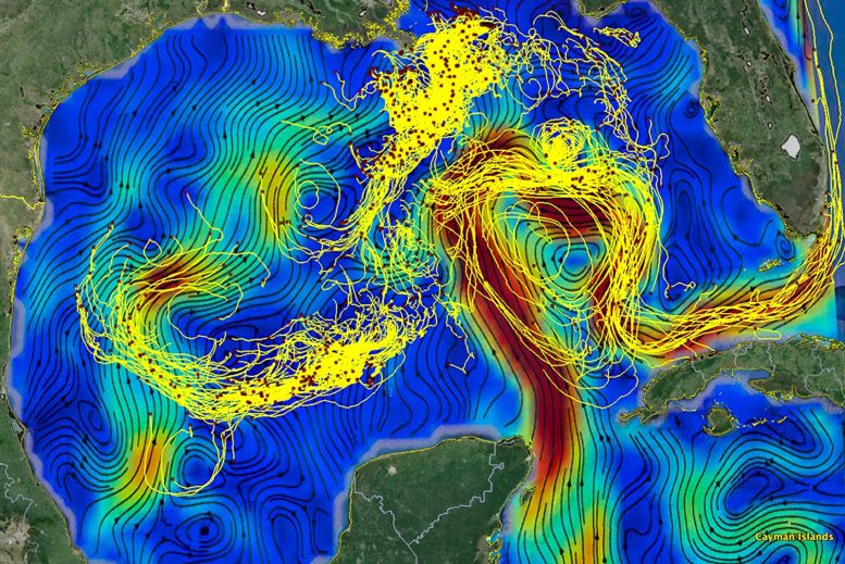 Machine Learning Ocean Currents