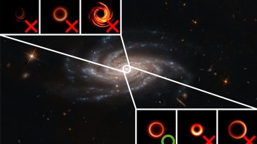 Machine Learning Testing Models of Black Hole and Galaxy Formation