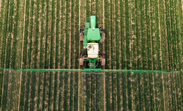 Los aspersores automáticos cubren cultivos en un campo en el oeste de Kentucky