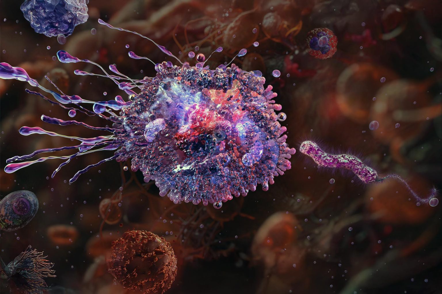 This Genetic Switch Helps Immune Cells Protect Your Organs