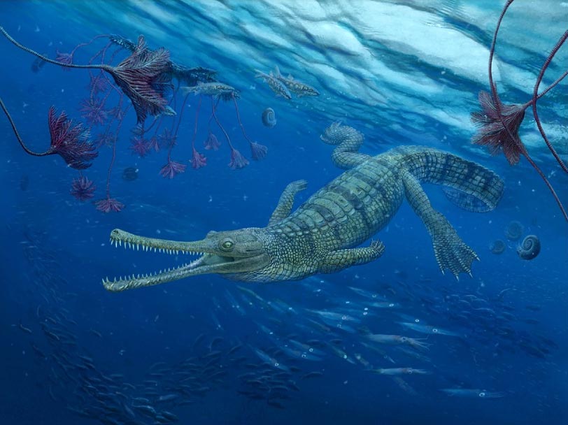 Ancient Crocodiles' Shadowy Family Tree Reveals Unexpected Twists and Turns