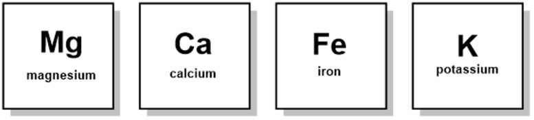 Magnesium, Calcium, Iron, and Potassium