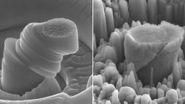 Magnesium Infused with Dense Silicon Carbide Nanoparticles New Creates Lightweight Metal