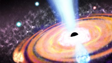 Unlocking the Secrets of Cosmic Dawn: The Primordial Race Between Black Holes and Galaxies