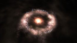 Magnetic Fields Responsible for Decelerating the Formation of Massive Stars