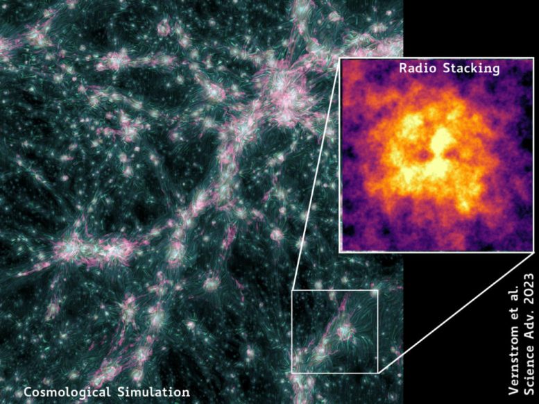 Magnetic Fields of the Cosmic Web