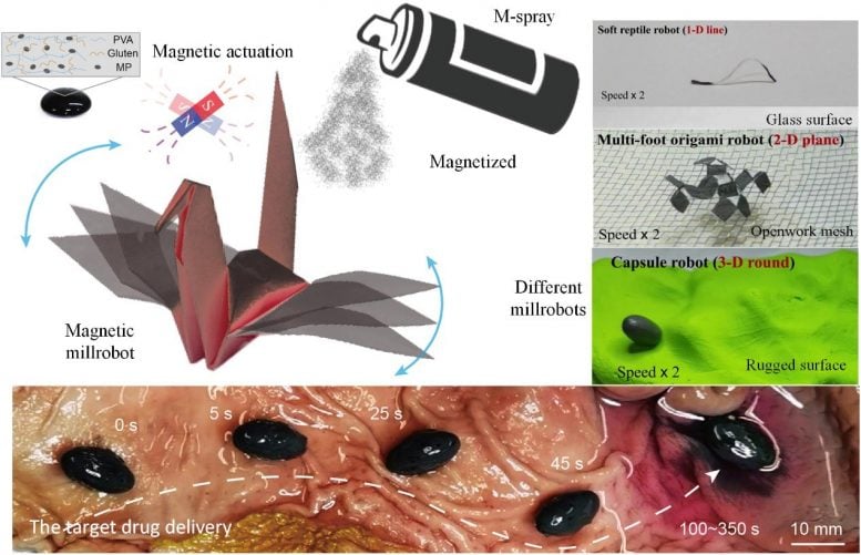 Magnetic Spray Bionergy