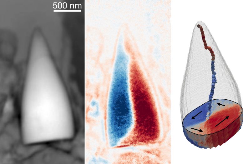 Magnetic Structure of Ancient Magnetofossil Particle
