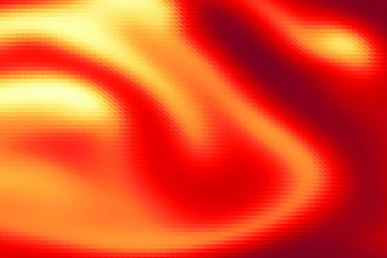 Magnetically Confined Fusion Plasma Simulation