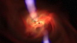 Magnetism and Gravity to Shape Black Hole's Environment