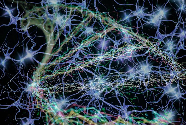 Advancing Biomanufacturing by Uncovering the Mechanisms Behind ...