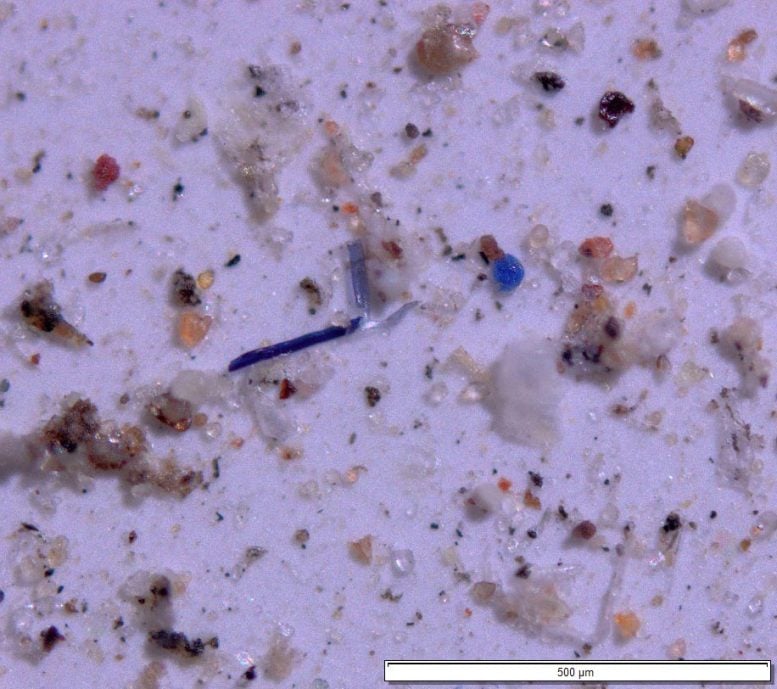 Magnified View of Microplastics