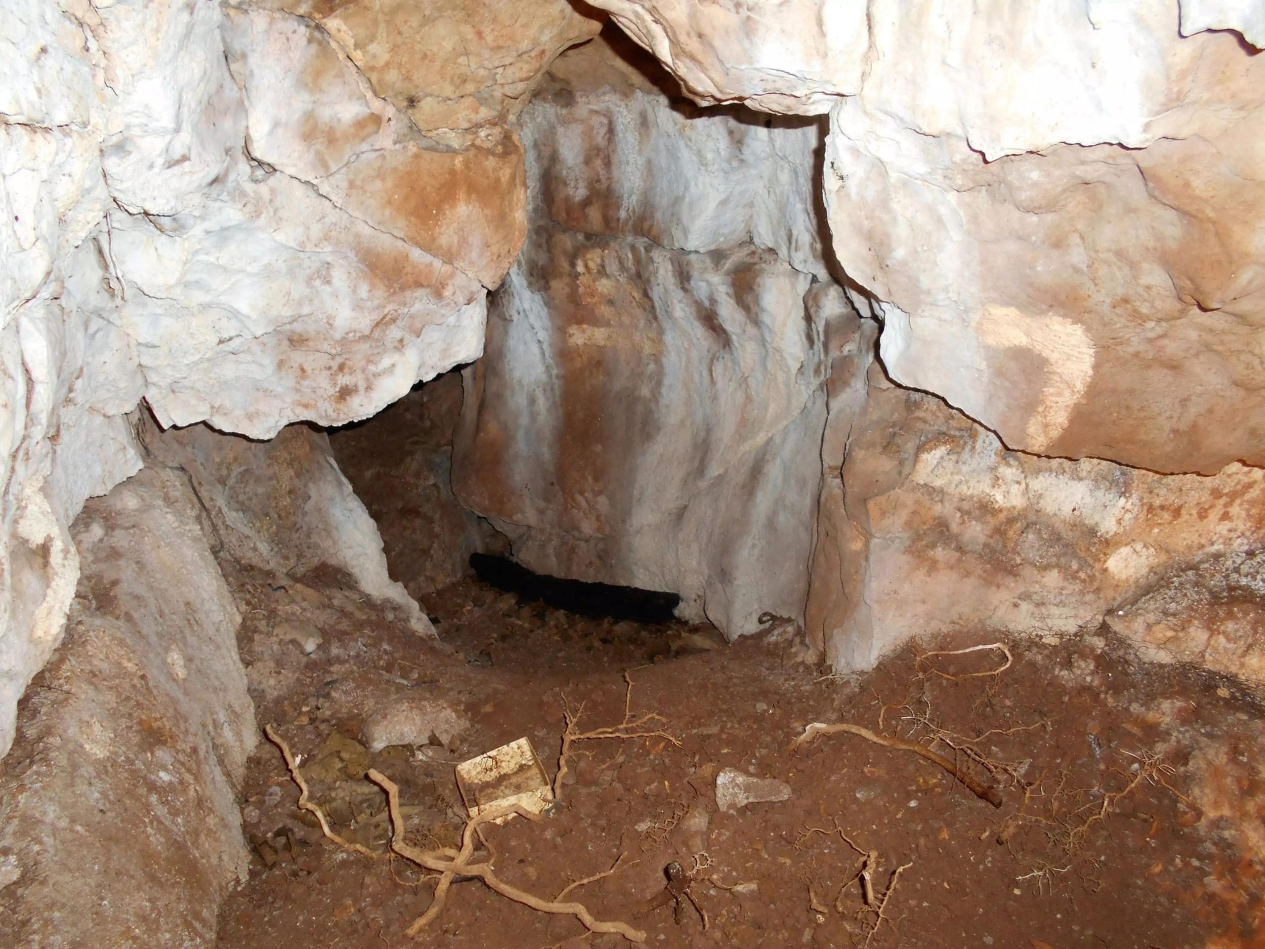 Main chamber deposits at Heaning Wood Cave