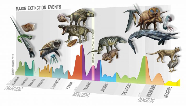 Major Extinction Events