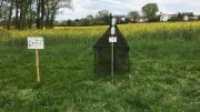 Malaise Trap for Insects