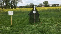 Malaise Trap for Insects
