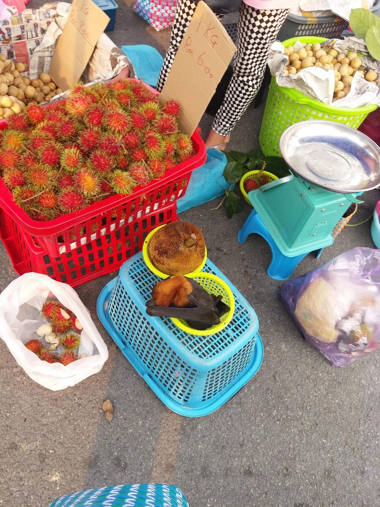 Malaysia Wildlife Market