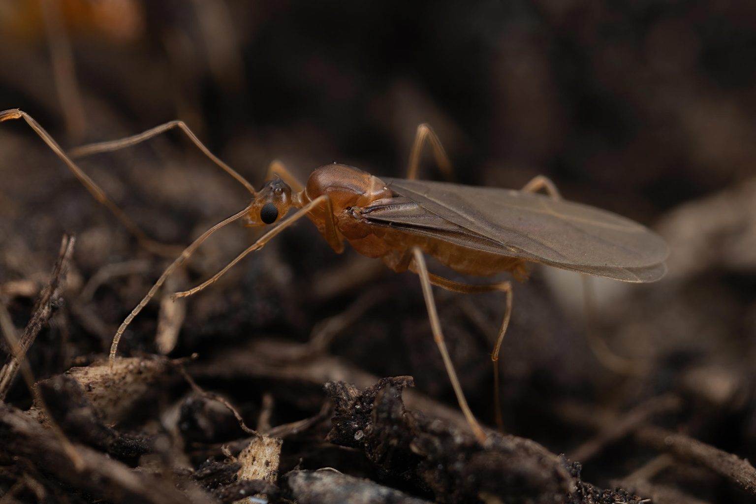 Defying Fundamental Laws of Biology – Scientists Discover Real-Life ...