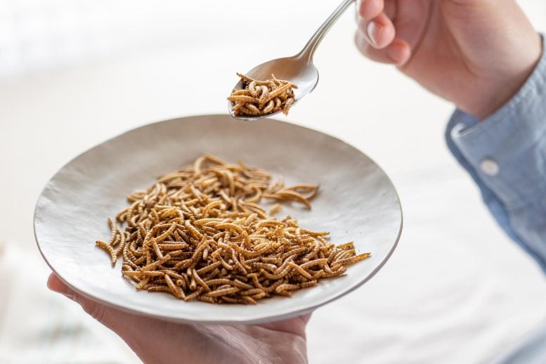 Man Eating Edible Insects Close