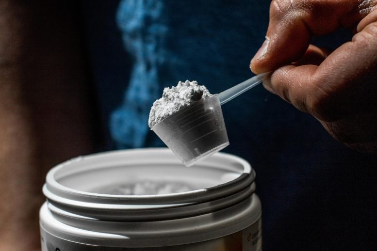 Researchers Find Creatine’s Benefits Extend Far Beyond the Gym