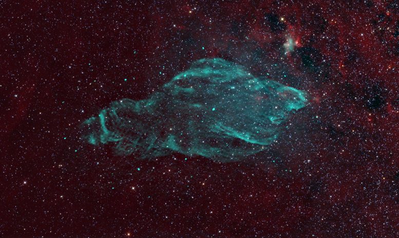 Manatee Nebula W50