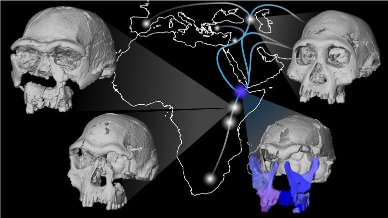 This 1.5-Million-Year-Old Human Face Is Rewriting Human Evolution