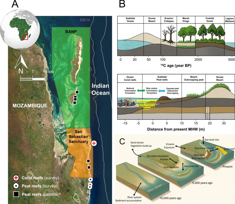 Map and Diagrams of Bazaruto Peat Reef Formation