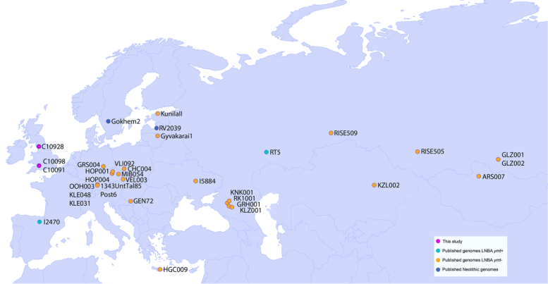 Mappa del lignaggio della peste LNBA